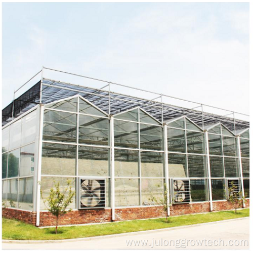 commercial multi-span venlo polycarbonate greenhouse